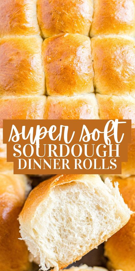 These ultra soft sourdough rolls are a dinner roll recipe you won't regret making! They're golden brown on the top, soft and stretchy on the inside and a show-stopping recipe for any meal. Sourdough Discard Rye Bread, Rye Buns Recipe, Soft Sourdough Rolls, Rye Sourdough Discard Recipes, Rye Rolls Recipe, Rye Biscuits, Rye Flour Recipes, Rye Sourdough Bread Recipe, Rye Rolls