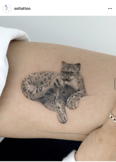 Cheetah Tattoos, Panther Tattoos, Cheetah Tattoo, Tattoos Masculinas, Big Cat Tattoo, Panther Tattoo, Tiger Tattoo, Animal Tattoos, Cat Tattoo