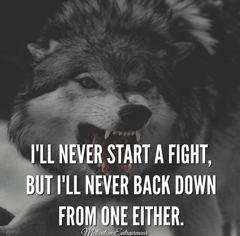 Inspirational Animal Quotes, Lone Wolf Quotes, Motivational Shirts, Don't Mess With Me, Inspirational Shirts, Wolf Quotes, Wolf Spirit Animal, Wolf Spirit, Warrior Quotes