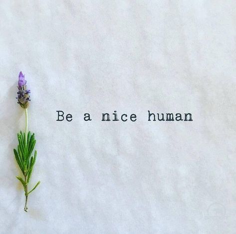 Be a nice human.