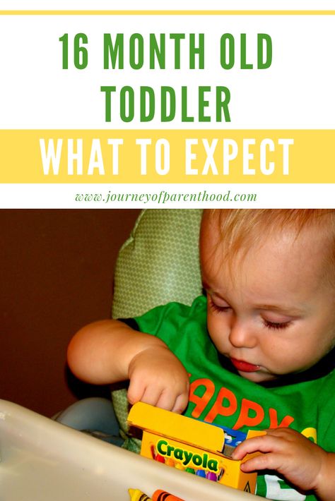 Toddler milestones and toddler development at 16 months old (boy!) #toddler #toddlermilestones 16 Months Old Development, 16 Month Milestones, 16 Month Old Development, Teaching Manners, Toddler Milestones, Early Childhood Education Activities, Development Milestones, Family Bible Study, Developmental Milestones