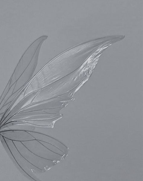 Silver Fairy Wings, White Buterfluffy, White Wings Aesthetic, Soft Silver Aesthetic, Silvermist Aesthetic, Small Fairy Wings, White Fairy Wings, Fairy Wings Aesthetic, Winter Butterfly