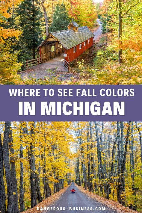 Covered Bridge and Fall foliage. With Text Reading: 10 BEST Places to See Fall Colors in Michigan. Fall Harvest Activities, Harvest Activities, Fall In Michigan, Weekend Getaways For Couples, Michigan Road Trip, Fall Road Trip, Luxury Travel Destinations, Budget Friendly Travel, Us Travel Destinations