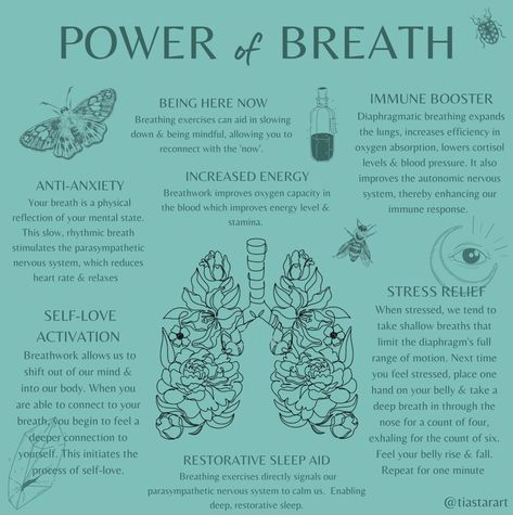 Breathwork Benefits, Deep Breathing, Parasympathetic Breathing, Breath Work Benefits, Breathwork Healing Techniques, Breathwork Healing, Breathwork Aesthetic, Calming Breathing Exercises, Breath Work