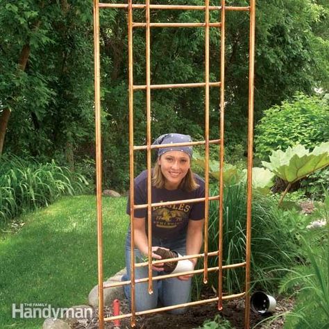 Copper Trellis, Backyard Structures, Diy Garden Trellis, Climbing Flowers, Diy Trellis, Garden Vines, Plants Growing, Wall Diy, Garden Arbor