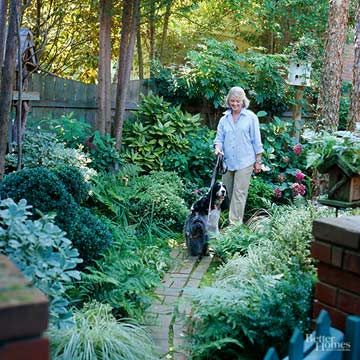 Texas Gardens, Shade Loving Shrubs, Texas Landscaping, Leyland Cypress, Evergreen Hedge, Florida Plants, Texas Gardening, Best Plants, Garden Shrubs