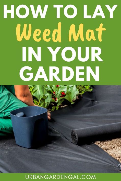 Laying weed matting in the garden Stop Weeds From Growing, Above Ground Garden, Fenced Vegetable Garden, Raised Vegetable Gardens, Garden Organization, Weed Barrier, Garden Netting, Garden Vegetable, Garden Weeds