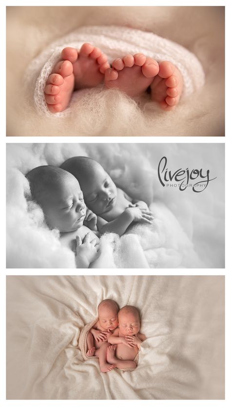 Twin boys Newborn Photography | Oregon | LiveJoy Photography Newborn Twin Photo Shoot Ideas, Boys Newborn Photography, Twin Poses, Twin Babies Pictures, Twin Newborn Photography, Babies Photoshoot, Newborn Twin Photos, Twin Ideas, Twins Pictures