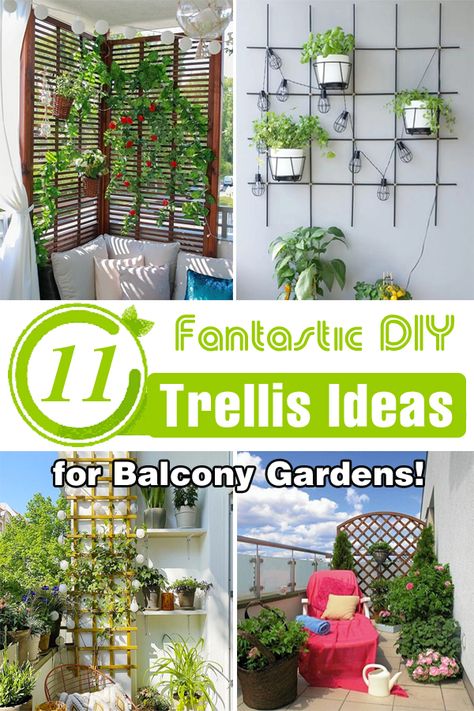 Trellis Ideas For Privacy Balcony, Balcony Trellis Ideas, Diy Ivy Trellis, Flower Box With Trellis, Potted Trellis Ideas, Planter With Trellis, Wooden Trellis Ideas, Wall Trellis Ideas, Balcony Trellis