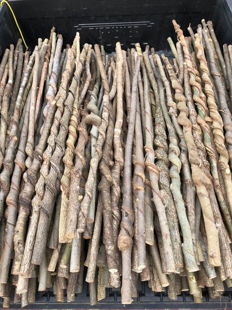 Stick Carving, Backyard Fort, Unique Walking Sticks, Bear Claw Necklace, Handmade Walking Sticks, Walking Staff, Hiking Staff, Hand Carved Walking Sticks, Wooden Walking Canes