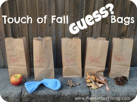 22 awesome and easy fall sensory activities that are perfect for toddlers, preschoolers, and kids! Get inspired and find simple and unique ideas. Kindergarten Science Activities, Fall Sensory, Sensory Play Ideas, Activities Kindergarten, Fall Preschool Activities, Fall Lessons, Fall Preschool, Kindergarten Science, Unique Fall