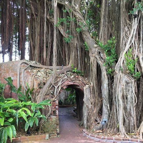 Wonderful entry to Key West Garden Club. Hiking In Florida, Wisconsin Camping, Flagler Beach, Florida Adventures, Florida State Parks, Places In Florida, Key West Wedding, Tourist Sites, West Wedding