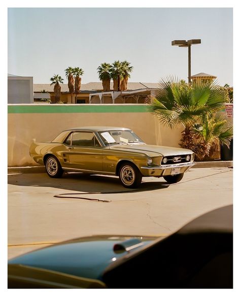 120 & 35mm | Film Photography on Portra 160 Portra 160 35mm, 120 Mm Film Photography, 35 Mm Film Photography, Portra Film, Portra 160, 35mm Film Photography, Photography 35mm, Film Stock, Dream Vehicles