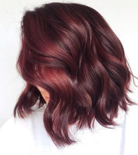 Chocolate Cherry Hair Color, French Balayage, Chocolate Cherry Hair, Cherry Cola Hair Color, Cherry Cola Hair, Deep Red Hair, Cherry Hair Colors, Red Hair Inspo, 2023 Hair