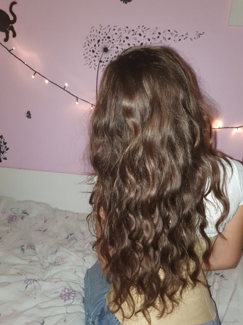 Light Wavy Hair Natural, Short Wavy Hair Aesthetic, Hairstyles On Wavy Hair, Wavy Hair Inspo Hairstyles, Wavy Hair With Braids, Light Brown Wavy Hair, Curling Bangs, Wavy Hair Beach, Hairstyles For Short Wavy Hair