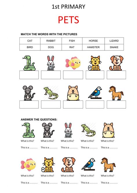 Primary One English Worksheet, Primary 1 English Worksheet, Animal English Worksheet, My Pets Worksheets For Kids, Pet Animals Worksheets For Kids, Pets Worksheets Preschool, Pet Animals Worksheet, Pets Activities For Kids, Animal Worksheets For Kids