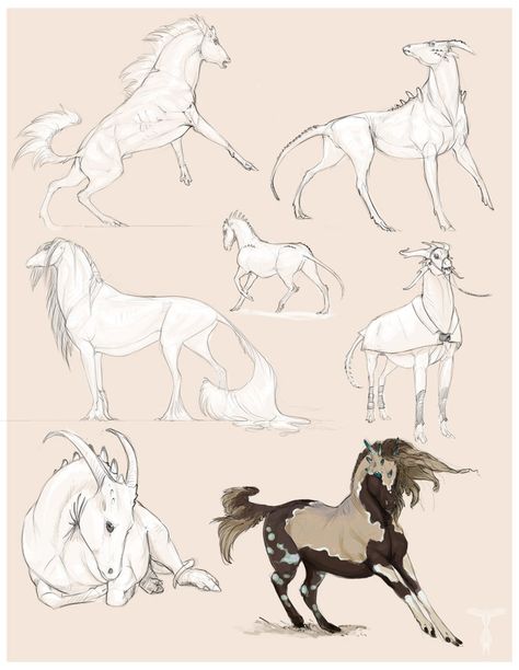 Sketch Page, Choosing Me, Fantasy Horses, Horse Illustration, Fantasy Beasts, Creature Drawings, Horse Drawings, Mythical Creatures Art, Mythological Creatures