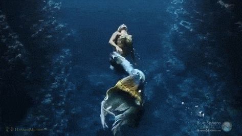 Mermaid Gif, Swimming Gif, Mermaid Gifs, Realistic Mermaid, Fairytale Creatures, Mermaid Names, Mermaid Photography, Mermaid Swimming, Mermaid Fairy