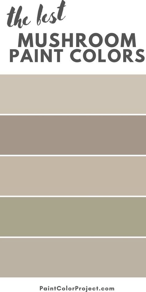 Want to paint your home a warm and cozy neutral? Let’s talk about mushroom paint colors, their undertones, coordinating colors, and the best mushroom paint colors! Mushroom Living Room Walls, Farrow And Ball Mushroom Paint, Benjamin Moore Mushroom Colors, Mushroom Color Accent Wall, Mushroom Colour Paint, Mushroom Wall Color Living Room, Mushroom Paint Bedroom, Mushroom Bedroom Colour, Mushroom Hallway