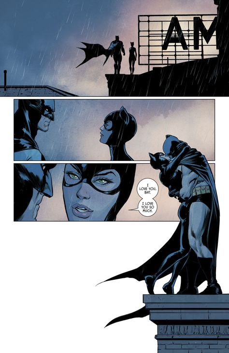 Catwoman And Batman, Catwoman Comic, Catwoman Selina Kyle, Batman Artwork, Batman And Catwoman, Arte Dc Comics, Batman Family, Batman Art, The Dark Knight