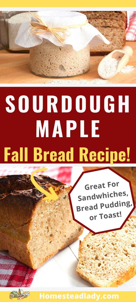 2 Loaf Sourdough Bread Recipe, Maple Sourdough Bread, Hot Honey Sourdough Bread, Soughdough Recipes, Milk And Honey Sourdough Sandwich Bread, Maple Oat Sourdough Sandwich Bread, Sourdough Loaf Bread, Quick Sourdough Bread, Pantry Mama Sourdough Sandwich Loaf