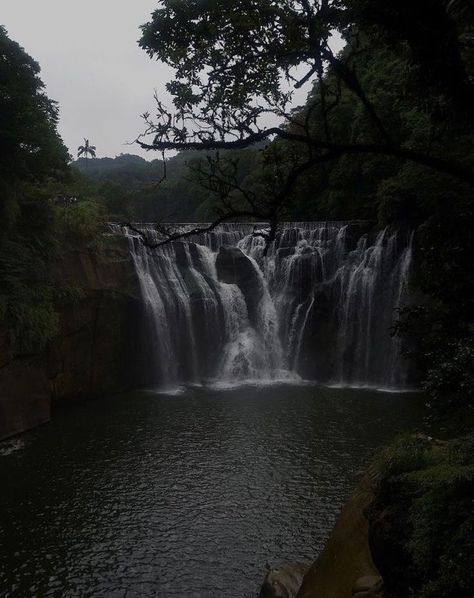 Rain Pictures, Dark Green Aesthetic, Pretty Landscapes, Inspiring Things, Gray Aesthetic, Dark Photography, Dark Forest, Nature Aesthetic, Green Aesthetic