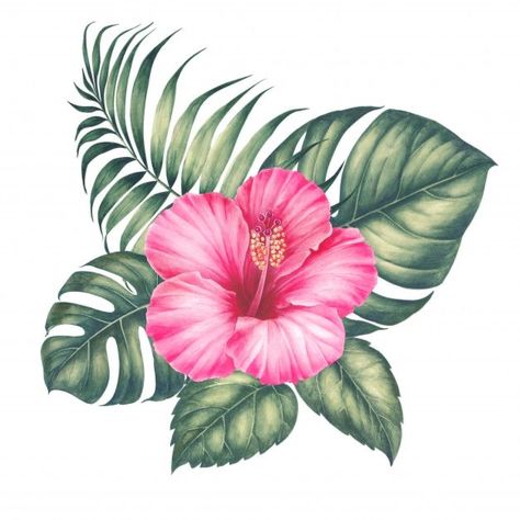 Hibiscus Tattoo, Jungle Flowers, Idee Cricut, Palm Tree Leaves, Soyut Sanat Tabloları, 수채화 그림, Hawaiian Flowers, Digital Flowers, Bougainvillea