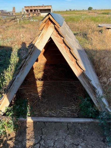 Simple A-frame shelter Diy Outdoor Animal Shelter, Temporary Goat Shelter, Goat Shelter Ideas Winter, Easy Goat Shelter, Goat Houses Shelters, Diy Goat Shelter, Chicken Playground, Sheep Shelter, Chicken Shelter