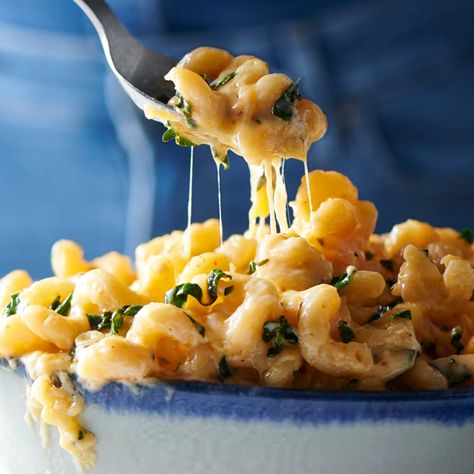 Kale Mac And Cheese, Cheesy Mac N Cheese Recipe, Pumpkin Apple Recipe, Beer Mac And Cheese, Gluten Free Mac And Cheese, Tillamook Cheese, Cheesy Mac And Cheese, Creamy Mac And Cheese, Mac And Cheese Recipe