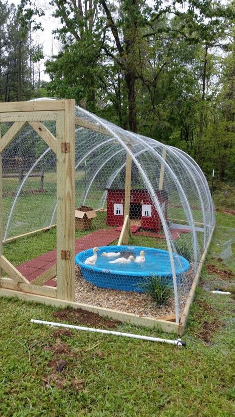 Duck Housing, Reban Ayam, Backyard Ducks, Duck Coop, How To Raise Chickens, Backyard Chicken Coop Plans, Diy Chicken Coop Plans, Backyard Chicken Farming, Raise Chickens