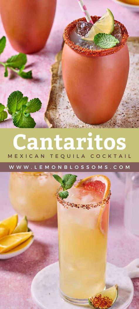 Mexican Pitcher Drinks, Citrus Tequila Cocktails, Mexico Drinks Cocktails, Mexican Tequila Drinks, Spanish Drinks Alcohol, Tajin Recipes Drink, Mexican Candy Cocktail, Mexican Inspired Cocktails, Mexican Holiday Drinks