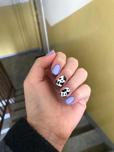 Short Cow Print Nails Acrylic, Pink Cow Nails Short, Gel Cow Print Nails, Cow Print Gel Nails Short, Cow Short Nails, Cow Printed Nails, Cow Nails Short, Short Cow Nails, Cow Print Gel Nails