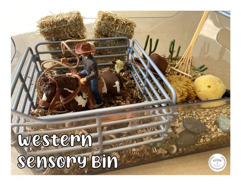 Howdy partner! Create a realistic looking Western Sensory Bin using interesting and hands-on materials. This sensory bin allows young learners to use their imagination and pretend to be a cowboy in the west! This activity can also be used to teach math concepts like counting cowboy hats. Western Sensory Bin, Cowboy Sensory Bin, Rodeo Sensory Bin, Cowboy Chili, Sensory Boxes, Sensory Bottles, Sensory Table, Summer Camps, Sensory Bin