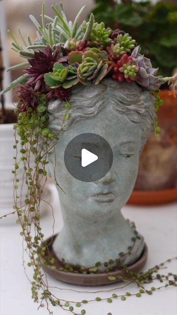 Cement Head Planters, Succulent Head Planter, Head Pots For Plants, Head Planter Ideas, Succulent Planter Ideas, Garden Answer, Succulent Garden Indoor, Succulent Garden Design, Succulent Planters