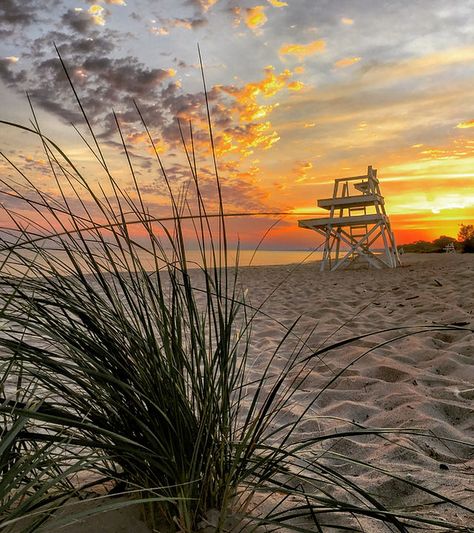 Chesterton | Visit Chesterton Chesterton Indiana, Indiana Dunes, The Dunes, Places To Eat, Local Businesses, Life Art, Small Towns, Perfect Place, Indiana