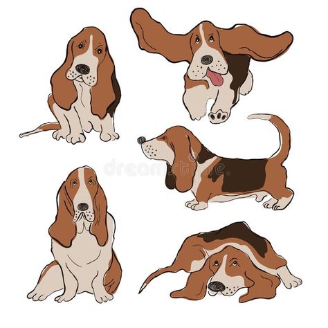 Basset Hound Art, Basset Dog, Dog Character, Basset Hound Puppy, Puppy Drawing, Basset Hound Dog, Bassett Hound, Dog Icon, Cartoon Sketches