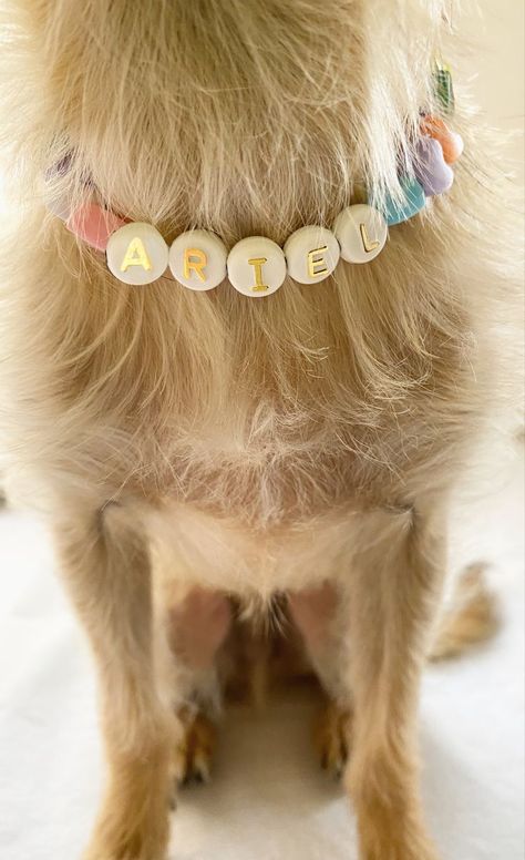 Dog Cute Accessories, Preppy Dog Outfits, Dog Collar Handmade, Charms For Dog Collar, Dog Beads Collar, Dog Jewelry For Dogs, Friendship Bracelet Dog Collar, Dog Necklace Beads, Cute Collars For Dogs