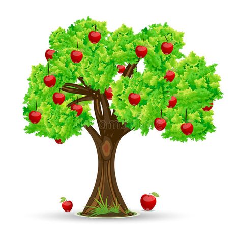 Apple tree royalty free illustration Irish Heart, Apple Season, Tree Clipart, Family Garden, Best Fruits, Apple Picking, Medical Illustration, Apple Tree, Watering Globe