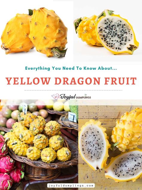 Yellow Dragon Fruit Recipes, Yellow Dragon Fruit Benefits, Health Benefits Of Dragon Fruit, Benefits Of Yellow Dragon Fruit, Dragon Fruit Dragon, Dragon Fruit Flower, Dragon Fruit Benefits, Dragonfruit Recipes, Dragon Fruit Yellow