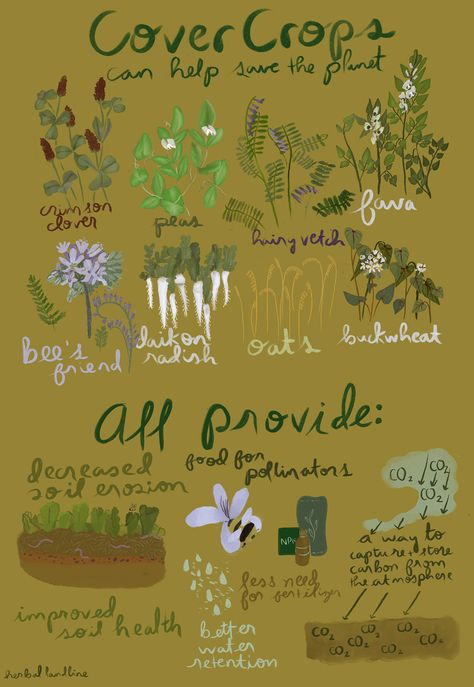 Eco Friendly Homestead: Regenerative Agriculture and Gardening Eco Friendly Yard, Regenerative Agriculture Design, Community Stickers, Regenerative Agriculture Farms, Eco Farming, Regenerative Gardening, Agroforestry Permaculture, Desert Homestead, Permaculture Food Forest