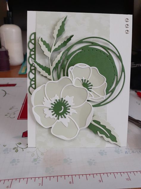 Flower Dies, Painted Poppies, Poppy Cards, Vellum Cards, Peaceful Moments, Daisy Cards, Get Crazy, Design Birthday, Hand Stamped Cards