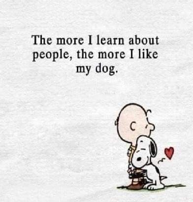 Rescue Quotes, Cavalier King Spaniel, Snoopy Dog, Fb Quote, Dog Quotes Love, Best Friend Quotes Funny, Animal Doodles, Dog Lady, Snoopy Love