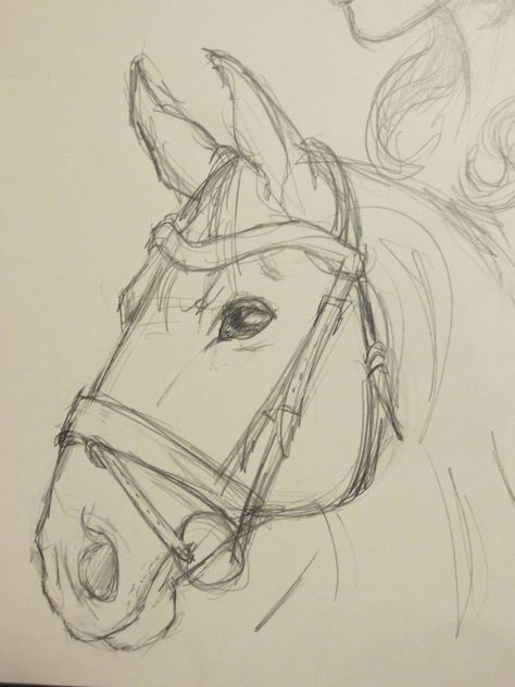 Horse Drawing Tutorial, Horse Art Drawing, Horse Sketch, Animal Drawings Sketches, Horse Drawing, Horse Drawings, Easy Drawings Sketches, Art Drawings Sketches Creative, Sketch Painting