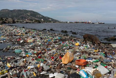 Plastic pollution flowing into oceans to triple by 2040 - study The amount of plastic waste flowing into the ocean and killing marine life could triple in the next 20 years, unless companies and governments can drastically reduce plastic production, a new study published on Thursday said. #BreakingThePlasticWave #waste #plasticwaste #plastic #plasticpollution #reduce #pollution #ocean #marinelife #marine Climate Warming, Chemical Plant, Ocean Pollution, Plastic Industry, Environmental Problem, Water Pollution, Energy Industry, Oceans Of The World, Plastic Pollution