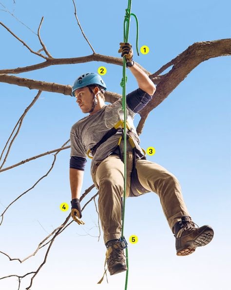 The+Gear+You+Need+to+Climb+the+Trees  - PopularMechanics.com Arborist Climbing Trees, Tree Climbing Equipment, Arborist Climbing, Rock Climbing Equipment, Climbing Knots, Climbing Equipment, Abseiling, Climbing Harness, Tree Climbing