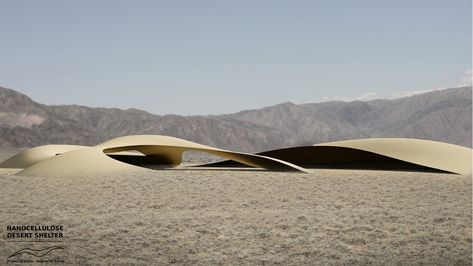 The Nanocellulose Desert Shelter is a modern sustainable solution for a desert nomad encampment, which is inspired by sand dune morphology. The Israeli pavilion shows how new technologies and using natural sources in architecture can influence architecture and help people who lack access to water and electricity. Desert Architecture Concept, Desert Shelter, Desert Pavilion, Snohetta Architecture, Dune Architecture, Cantilever Architecture, Memorial Architecture, Desert Architecture, Saadiyat Island