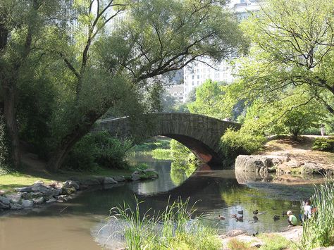 Bridge Landscape, Landscape With Bridge, Park Drawing, Central Park Bridge, Central Park Bow Bridge, Environment Photography, Bridge Over River, Watercolor Water, Beautiful Landscape Photography