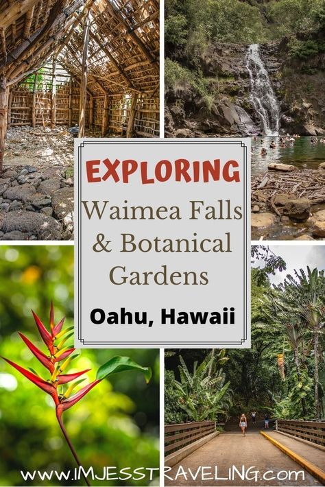 Waimea Falls, flora and old Hales on Oahu Hawaii Vacation Oahu, Waimea Falls, Hawaii Itinerary, West Coast Travel, Hawaii Travel Guide, Large Pool, Visit Hawaii, Oahu Hawaii, United States Travel