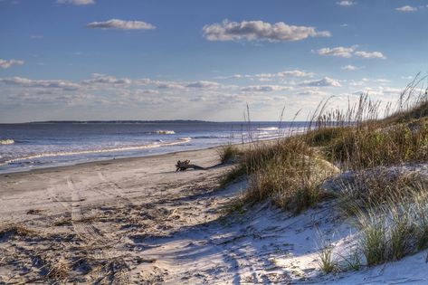 Here are Some of the U.S.'s Cheapest 2017 Travel Destinations By Month Things To Do In Georgia, Georgia Beaches, Dog Friendly Vacation, Florida Getaway, Dog Friendly Beach, Places In Florida, Driftwood Beach, Jekyll Island, Couple Getaway