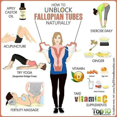 FERTILITY EXPERT CEO(Dr. John) on Instagram: “Blocked fallopian tubes are one possible cause of female infertility. There are usually no symptoms, but there are some risk factors that…” Unblock Fallopian Tubes, Blocked Fallopian Tubes, Fertility Yoga, Fertility Foods, Fertility Health, Fertility Diet, Fertility Boost, Fallopian Tubes, Pumping Moms